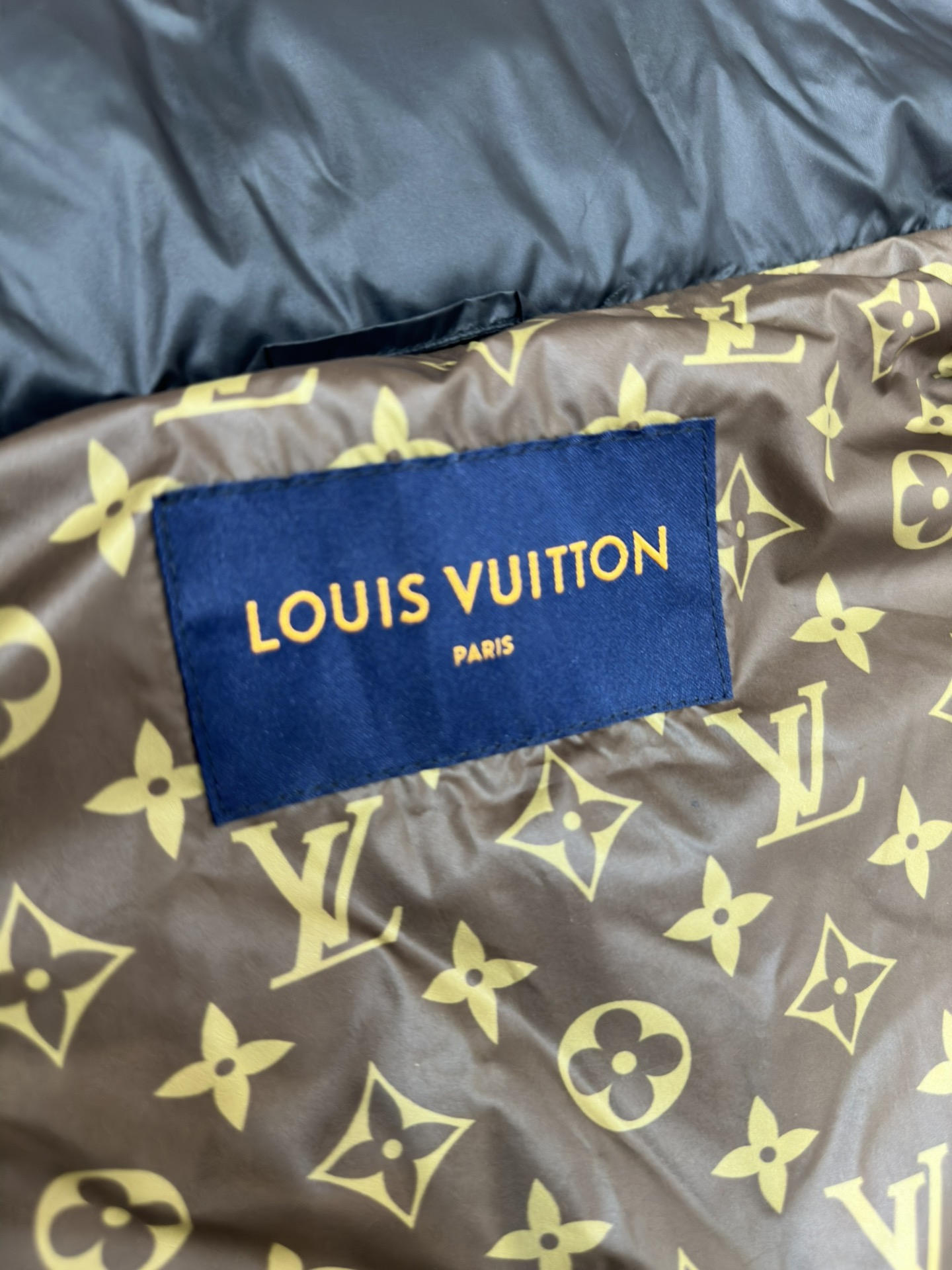 Louis Vuitton Down Jackets